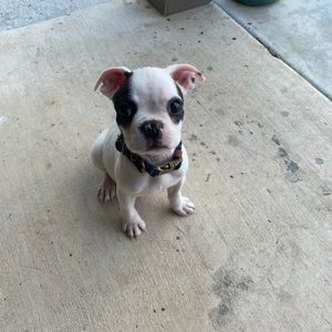 Meet your Posher, Tim